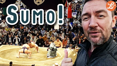 Sumo!